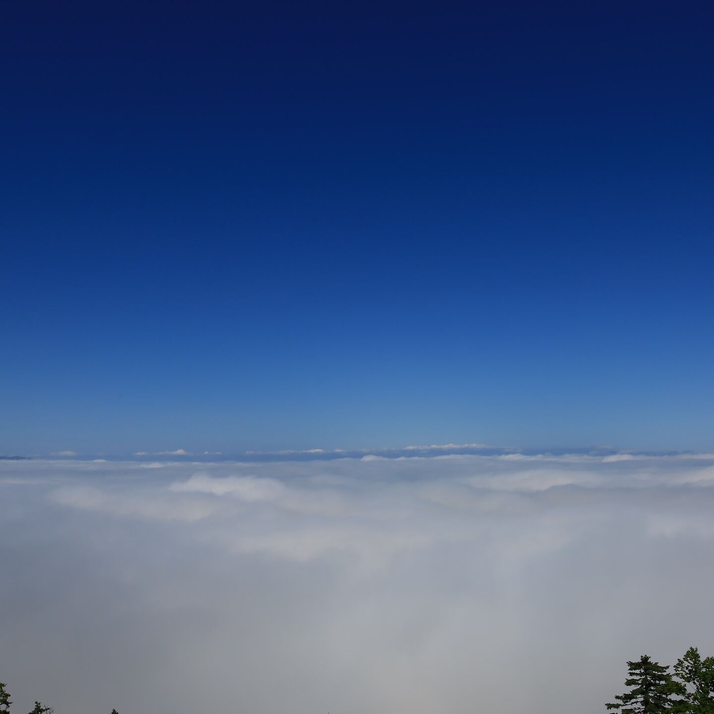 雲海に包まれる湖、屈斜路湖の絶景