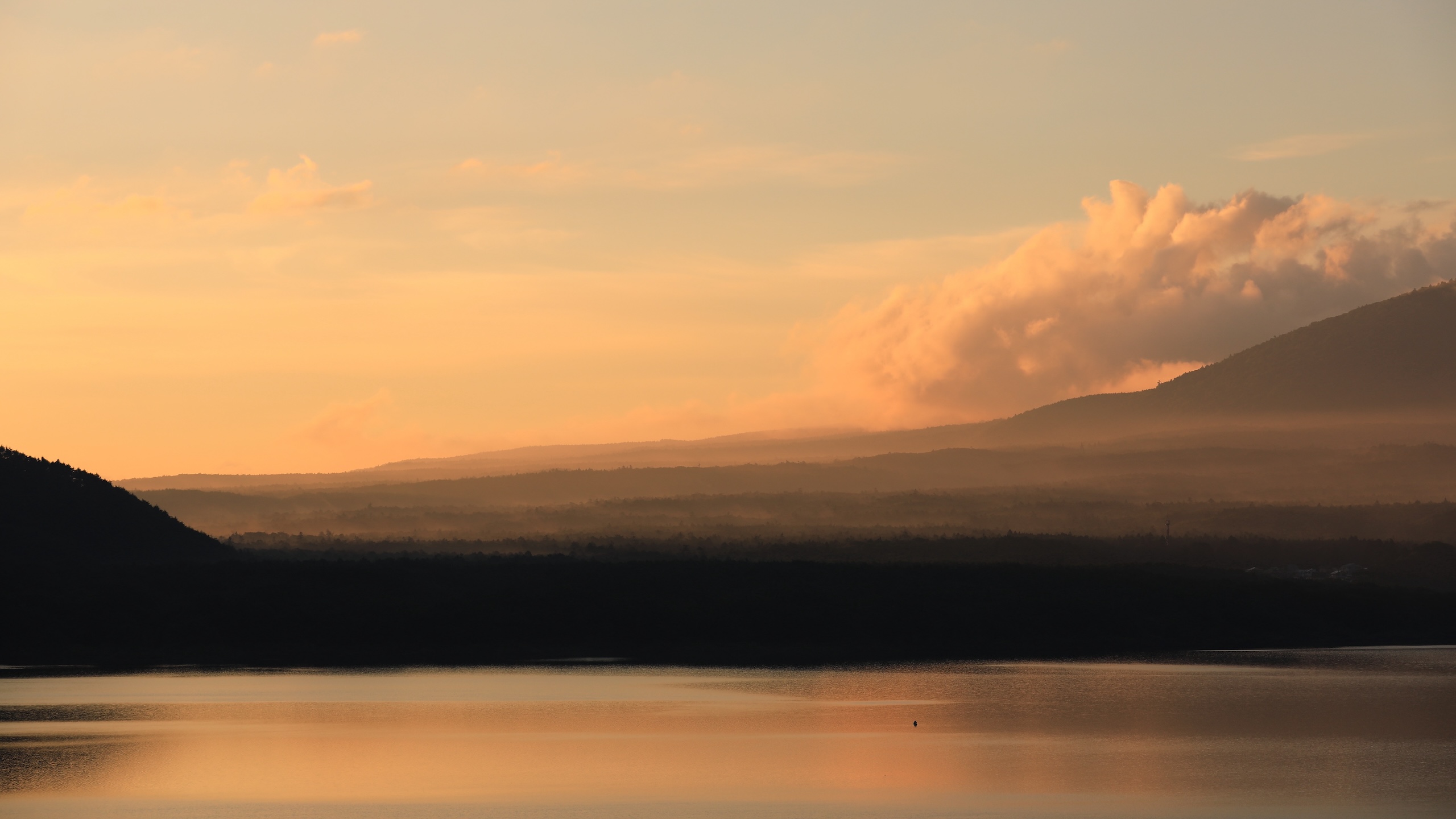 Summer Mist and Flowing Clouds Embrace Mount Fuji and its Sea of